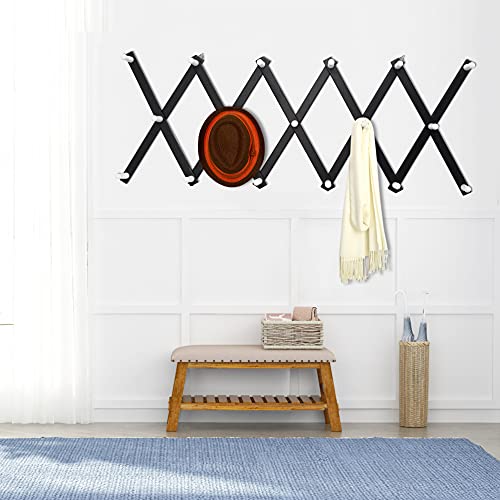 Accordian Wall Hanger