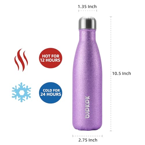 17 oz Small Insulated Water Bottle