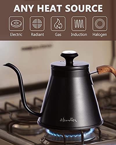 Gooseneck Kettle with Thermometer for Pour Over Coffee and Tea