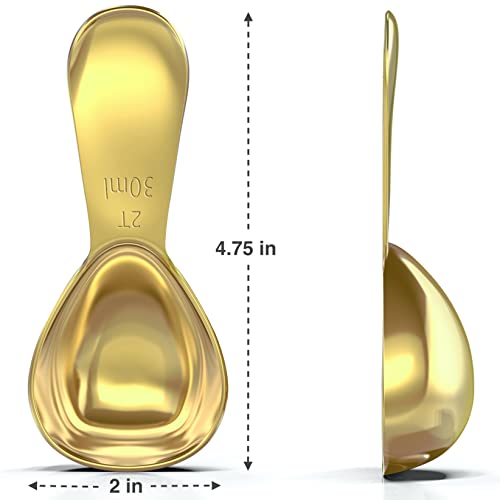 Stainless Steel Coffee Scoop Set (2 Count)