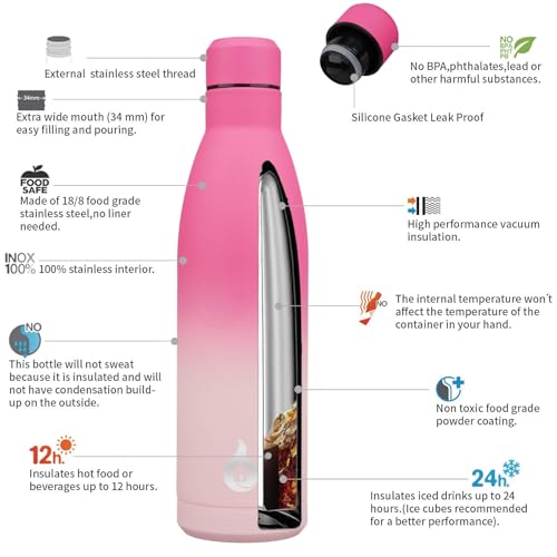 25 oz Insulated Stainless Steel Water Bottle