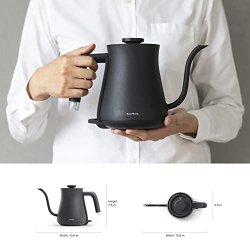 The Kettle Electric Gooseneck Kettle