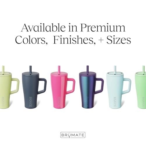 Era 30 oz Tumbler with Handle & Straw