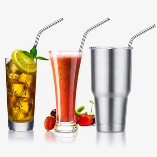 Set of 10 Stainless Steel Straws (10 Count)