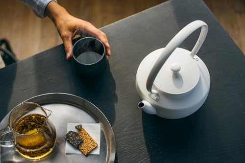 MoonKettle Electric Kettle with Temp Control