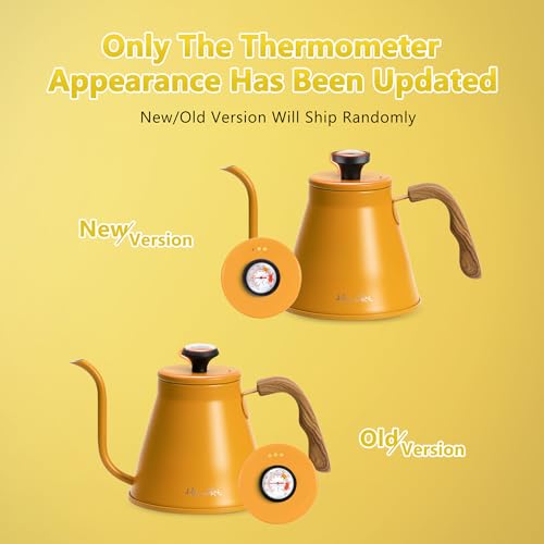 Gooseneck Kettle with Thermometer for Pour Over Coffee and Tea