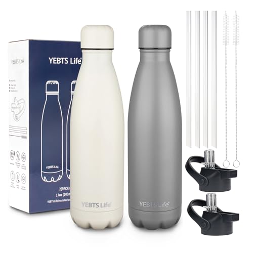Insulated Water Bottle (2 Count)