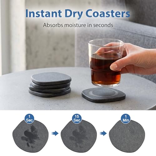 6 Pack Diatomite Absorbent Coasters for Drinks (6 Count)