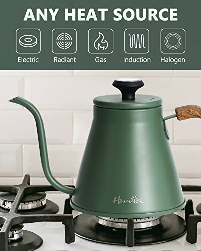Gooseneck Kettle with Thermometer for Pour Over Coffee and Tea