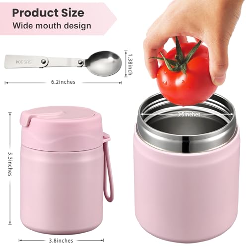 17oz Soup Thermo for Hot Food Kids