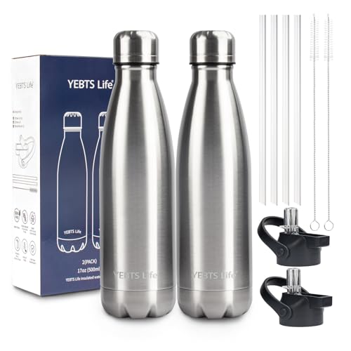 Insulated Water Bottle (2 Count)