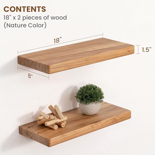 Floating Shelves for Wall (2 Count)