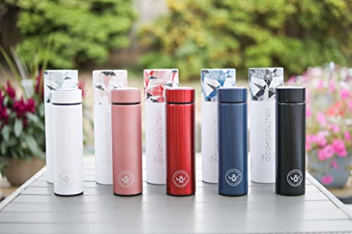 ORIGINAL All Purpose Beverage Tumbler