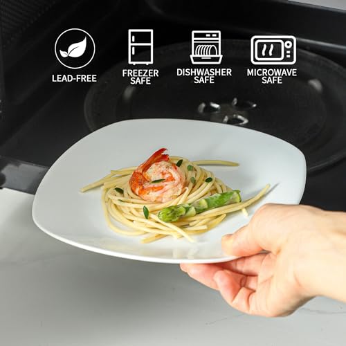 Ceramic White Dinner Plates Set of 4 (4 Count)