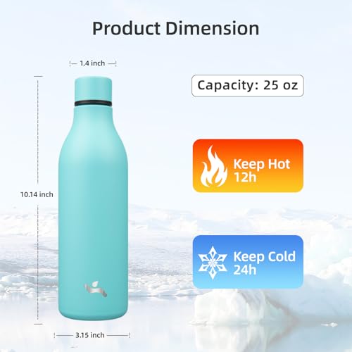 25 oz Insulated Stainless Steel Metal Water Bottle with Strap