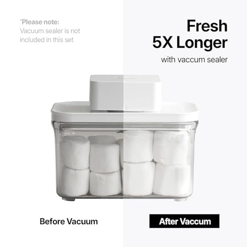 Premium Airtight Food Storage Containers (2 Count)