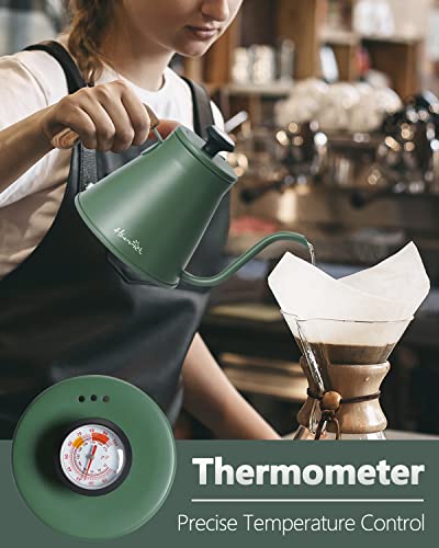 Gooseneck Kettle with Thermometer for Pour Over Coffee and Tea