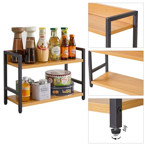 2 Tier Spice Rack