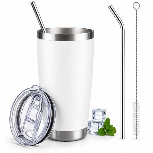 20 oz Stainless Steel Insulated Tumbler with Lid and Straw