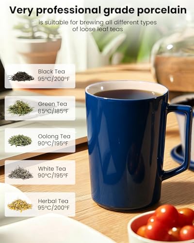 15 OZ Porcelain Tea Infuser Cup with Lid