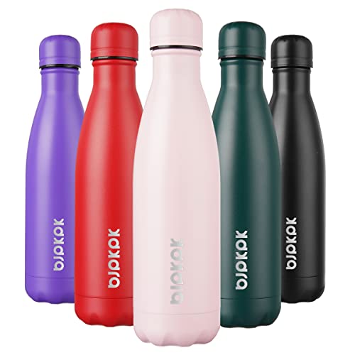 17 oz Insulated Water Bottle