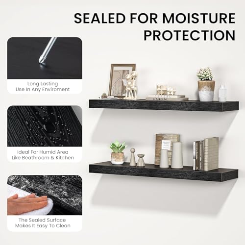 Floating Shelves for Wall