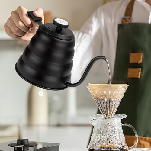 Tea Kettle with Thermometer
