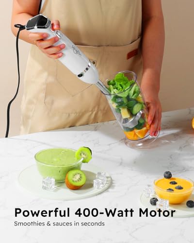 Immersion Blender Handheld