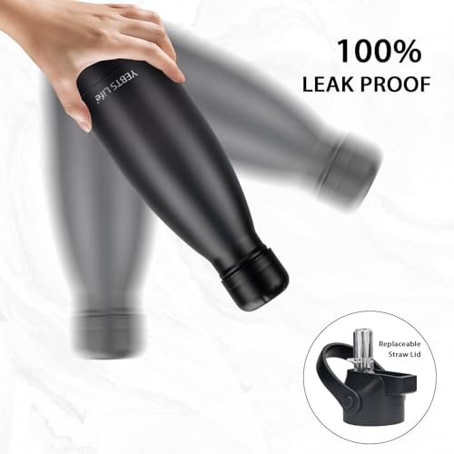 Insulated Water Bottle (2 Count)
