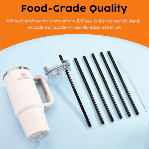 Black Replacement Straws for Stanley 30 oz Tumbler (6 Count)