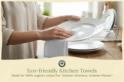 Organic Cotton White Dish Towels (10 Count)