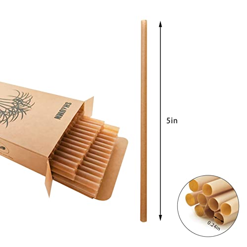 5 Inch 600pcs Cocktail Straws Made from Sugarcane Fiber Plastic (600 Count)
