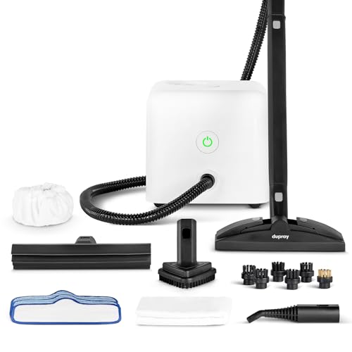 Neat Steam Cleaner for Home