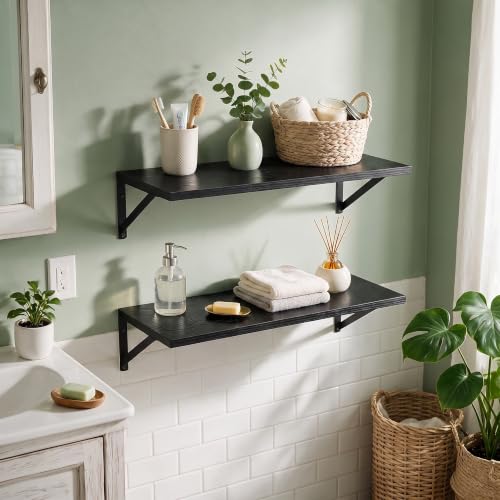 Wall Mounted Floating Shelves Set of 2 (2 Count)
