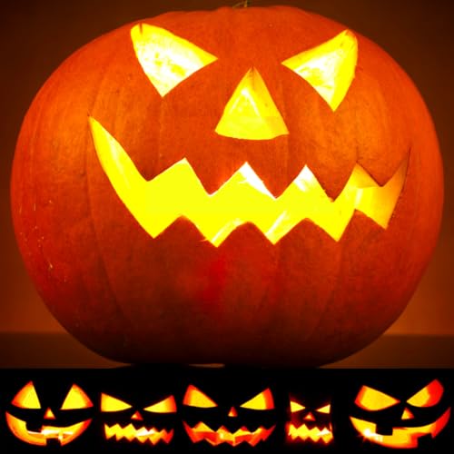 Pumpkin Carving Kit 22Pcs Tools (22 Count)