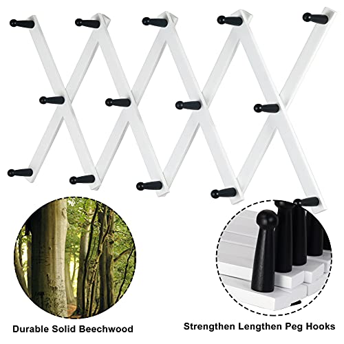 Accordian Wall Hanger