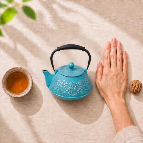 Cast Iron Teapot