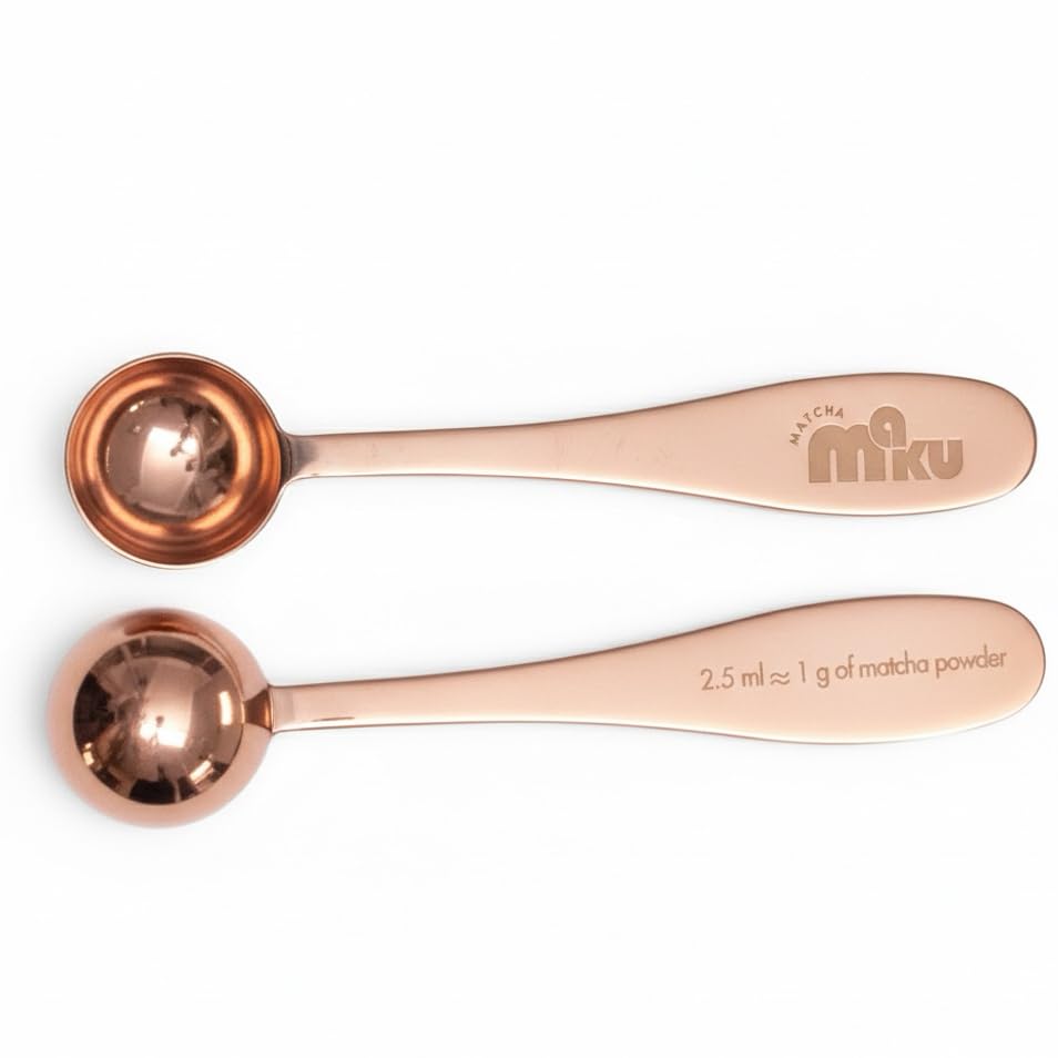 Stainless Steel 1 g Measuring Spoon for Matcha