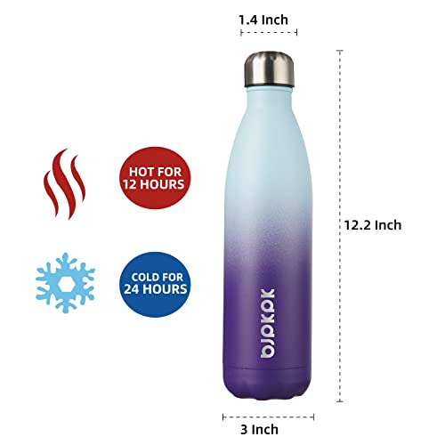 25 oz Insulated Water Bottle