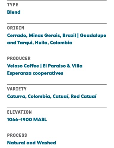 NYC Roaster), The Daily Ground Specialty Coffee, 12 oz Bag, Rainforest Alliance Certified, Kosher, Climate Friendly (12 Ounce)