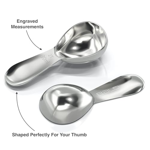Stainless Steel Coffee Scoop Set (2 Count)