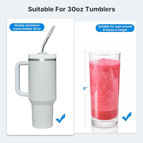 Repeatable Metal Straw with Silicone Tips for 40 oz Stanley Tumbler