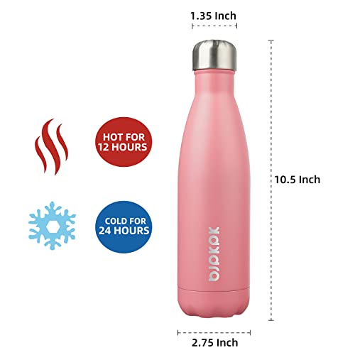 17 oz Insulated Water Bottle