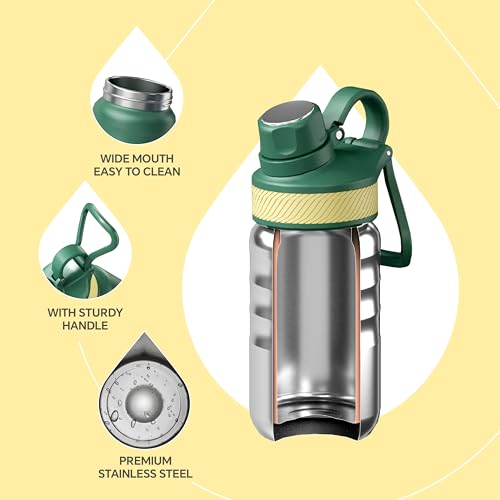 Insulated Water Bottle 12oz
