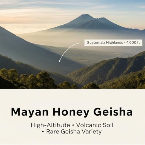 Mayan Honey Geisha Coffee (16 Ounce)