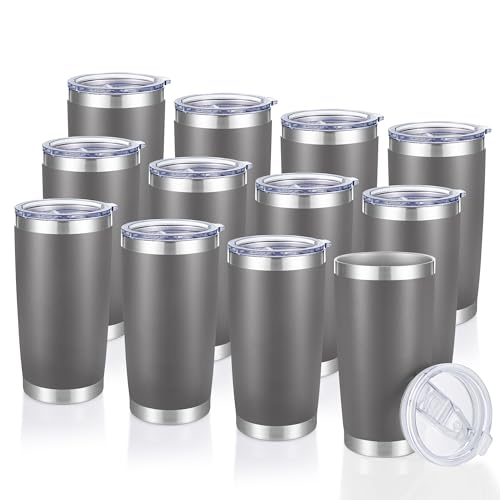 20 oz Tumblers Bulk Stainless Steel Tumbler with Lid (12 Count)