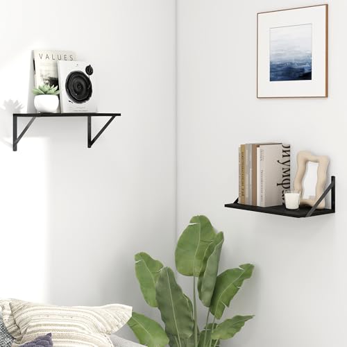 Deep Floating Shelves for Wall (2 Count)