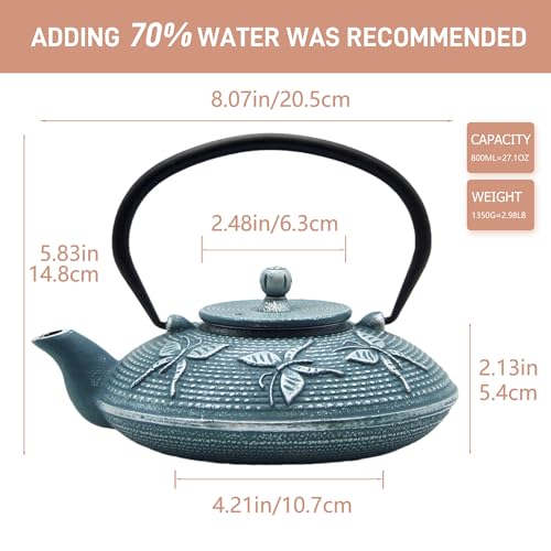 Cast Iron Teapot