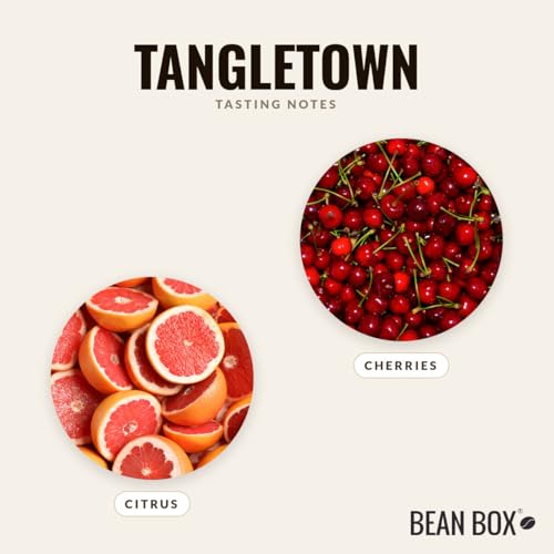 Tangletown Roasted by Zoka Coffee (80 Ounce)
