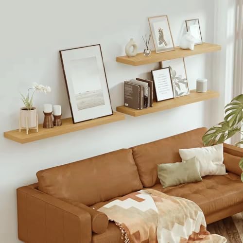Single Floating Shelves 48x10” Set of 1